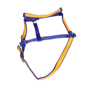 Blue and Orange/Yellow Nylon Halter
