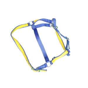Blue and Yellow Nylon Halter