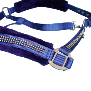 Blue Padded and Jeweled Equestrian Tack